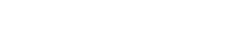 Beespoke AI